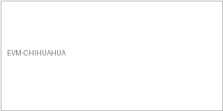 Logotipo EVM Chihuahua